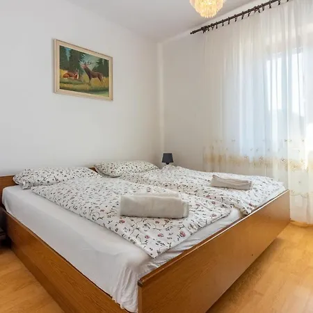 Apartment Vazmica *