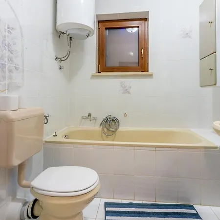 Apartment Vazmica *