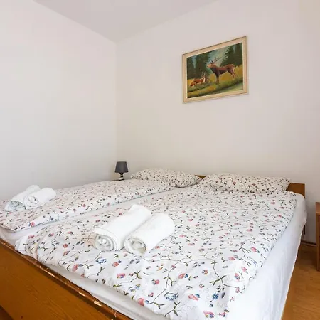 Apartment Vazmica